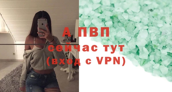 твердый Арсеньев