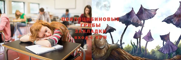 ALPHA PVP Аркадак