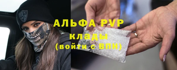 твердый Арсеньев