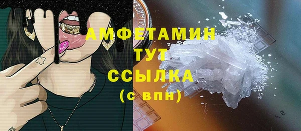 твердый Арсеньев