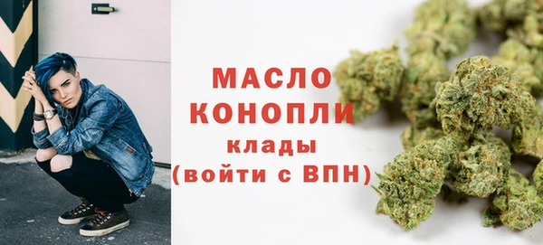твердый Арсеньев