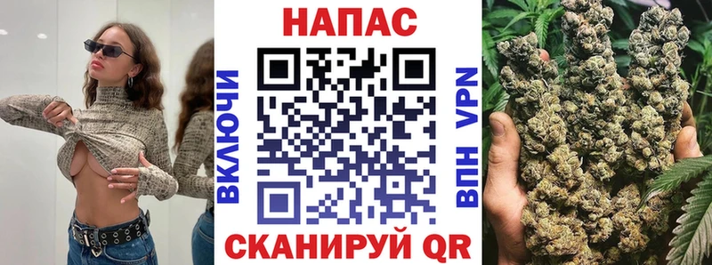 Бошки Шишки ГИДРОПОН  Тавда 